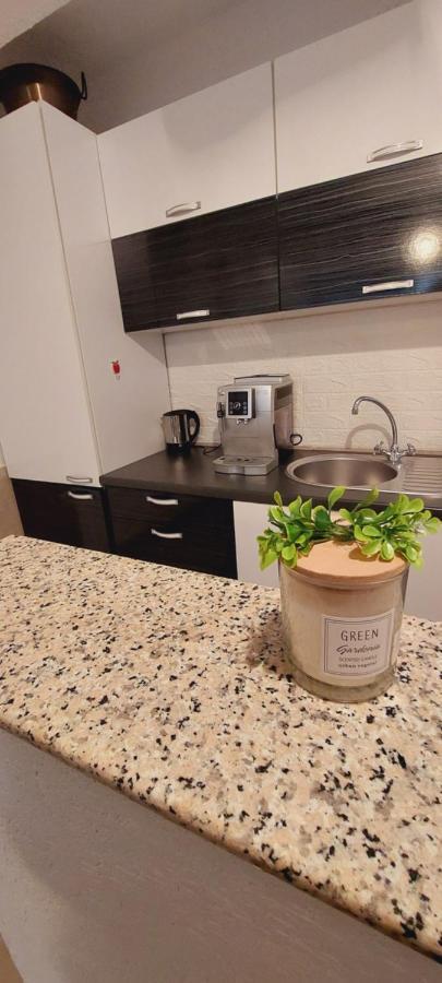Ema Apartment Saraybosna Dış mekan fotoğraf